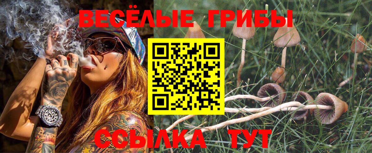 где найти   Псилоцибиновые грибы ЛСД  Вход с VPN  Пугачёв  Галлюциногенные грибы прущие грибы 